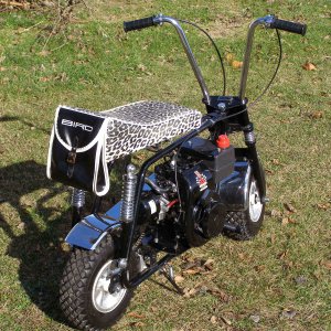 Bird | OldMiniBikes.com