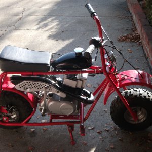 Doodle-Zuki 100cc 4 speed