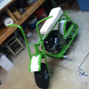 DoodleBug for my Daughter