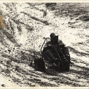 N.A.V.T.A. 1971