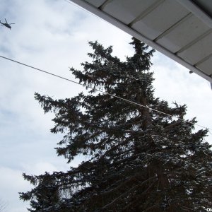 UH-60 Blackhawks