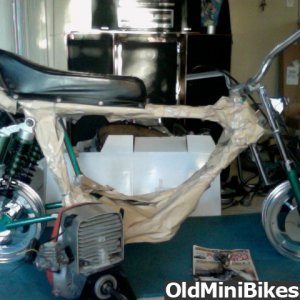 speedway scorpion